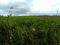 wandeling 22-10-2017_(40)